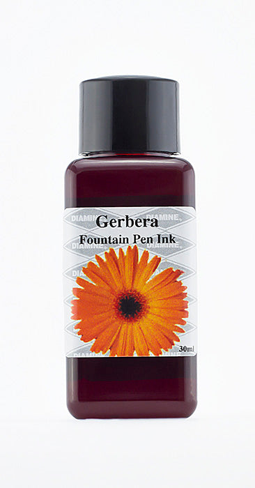 Diamine Gerbera fountain pen ink bottle and packaging on a white background.