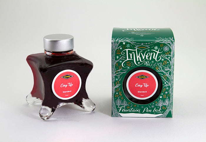 Diamine Cosy Up fountain pen ink bottle and packaging on a white background.