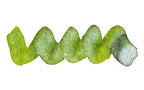 Wavy green line on a white background. Diamine Sugar Snap fountain pen ink colour swatch.