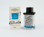 Diamine Port of Call fountain pen ink bottle and packaging on a white background.