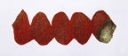 Wavy red line on a white background. Diamine Spiced Apple fountain pen ink colour swatch.
