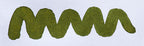 Wavy green line on a white background. Diamine Evergreen fountain pen ink colour swatch.