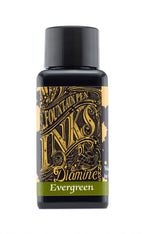 Diamine Evergreen fountain pen ink bottle and packaging on a white background.