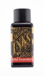 Diamine Wild Strawberry fountain pen ink bottle and packaging on a white background.