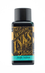 Diamine Soft Mint fountain pen ink bottle and packaging on a white background.