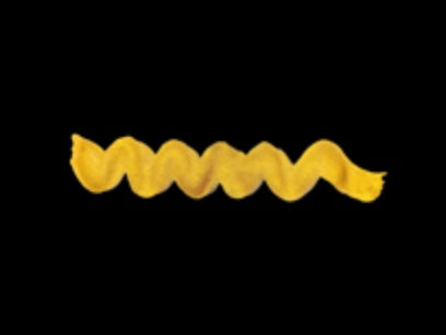 Wavy gold line on a black background. Diamine Gold calligraphy and drawing ink colour swatch.